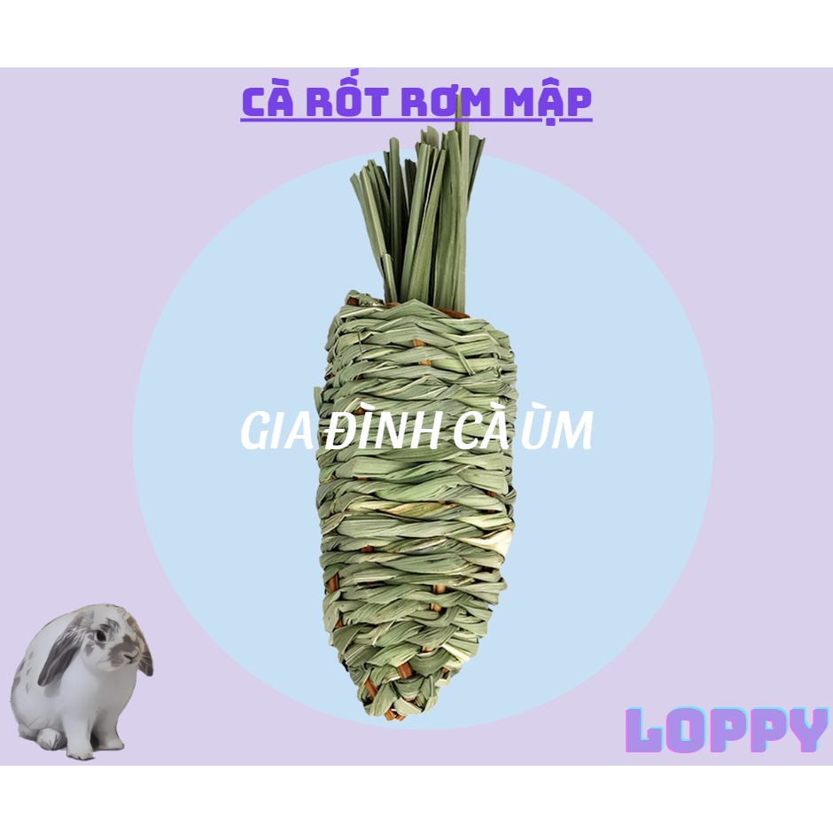 Cà rốt mập - đồ chơi dành cho thỏ/ chuột lang/sóc/ chinchilla