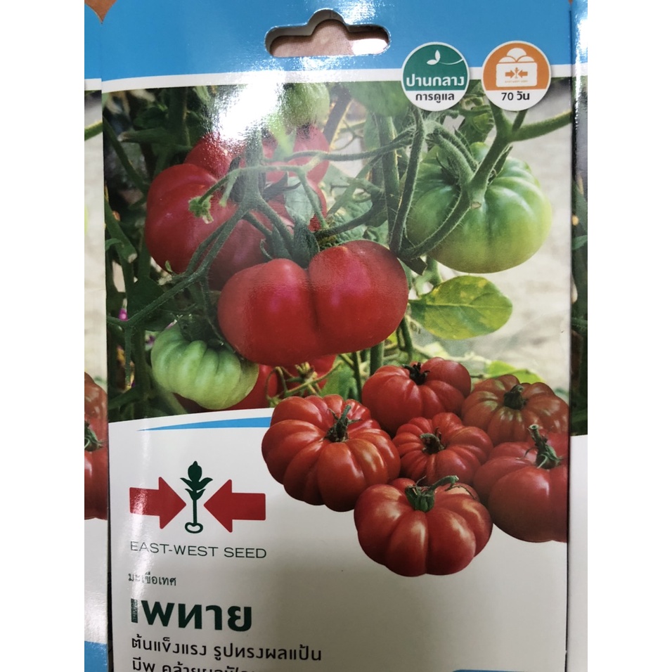 hạt giống cà chua múi đại nhập khẩu thái lan nguyên bao bì