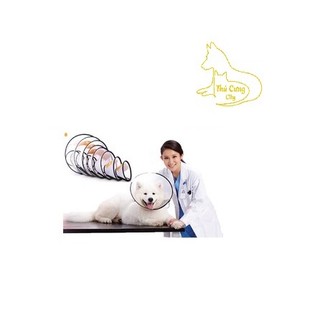 [ phụ kiện ] Vòng Cổ/Loa Chống Liếm Cho Chó Mèo