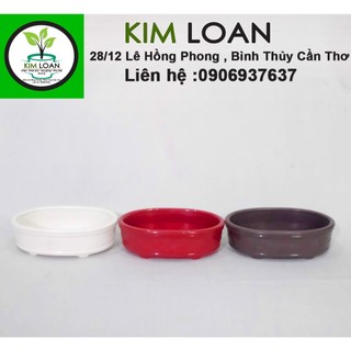 Chậu bonsai mini ovan hai màu đỏ và trắng 16x12x5cm