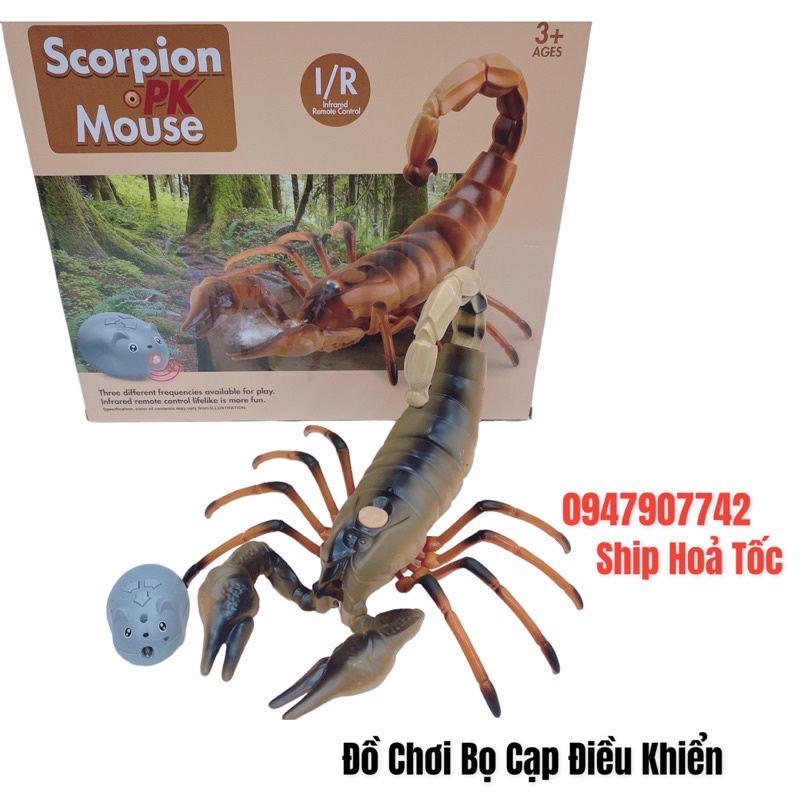 🔥𝐍𝐎𝐖 𝐒𝐇𝐈𝐏🔥Đồ Chơi Con Bọ Cạp Có Điều Khiển (𝐇𝐚̀𝐧𝐠 𝐒𝐚̆̃𝐧 - 𝐘 𝐡𝐢̀𝐧𝐡 𝟏𝟎𝟎% 𝐍𝐡𝐚̣̂𝐧 𝐍𝐠𝐚𝐲 𝐓𝐫𝐨𝐧𝐠 𝟏-𝟐𝐡)