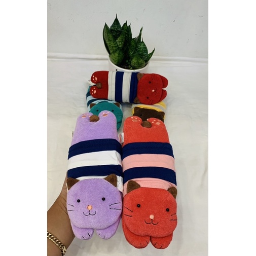 Mèo mặc áo kê tay Hikosen Cara