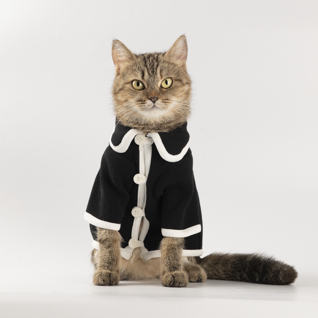 Áo Khoác Len Hàng Hiệu mùa đông cho thú cưng - SaboCoco - SB24