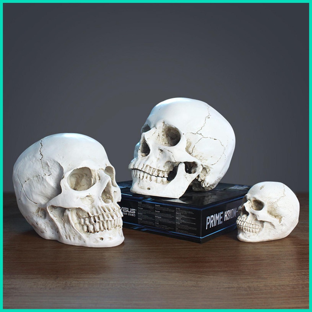 Mô Hình Đầu Lâu Người Mini Bằng Nhựa Resin Trang Trí Halloween