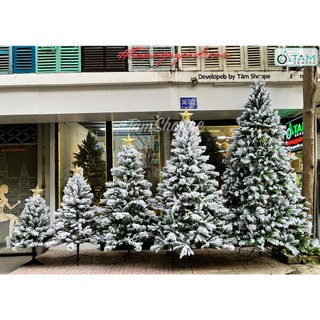 [TUYẾT XỊN-SẴN HÀNG] Cây thông Noel phủ tuyết A4 cao từ 120-300cm X-TREE-17