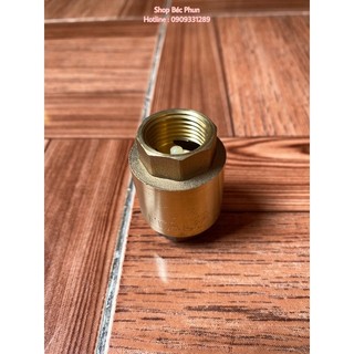 Lupe van 1 chiều lò xo đồng phi 21