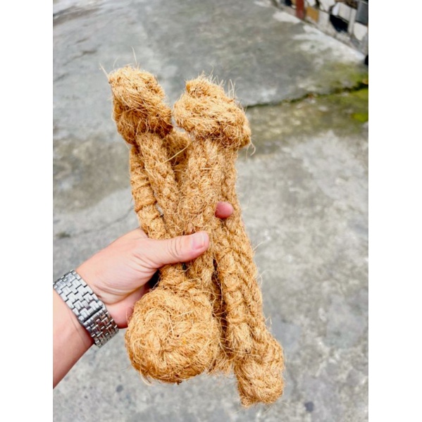 Đồ chơi thú cưng