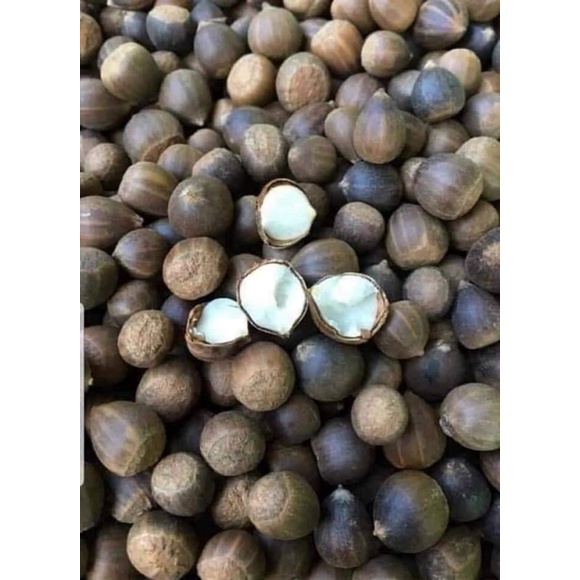 Hạt dẻ thóc rừng nếp 1kg