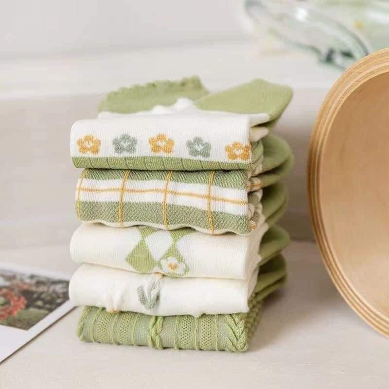 SET 5 TẤT HOA NỮ