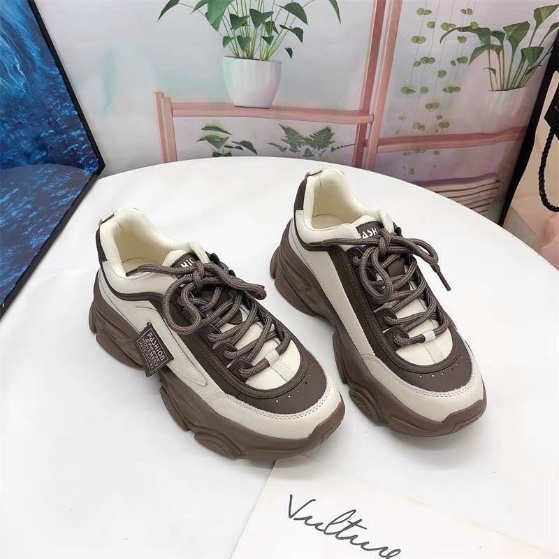 Giày thể thao phối màu fullbox qccc