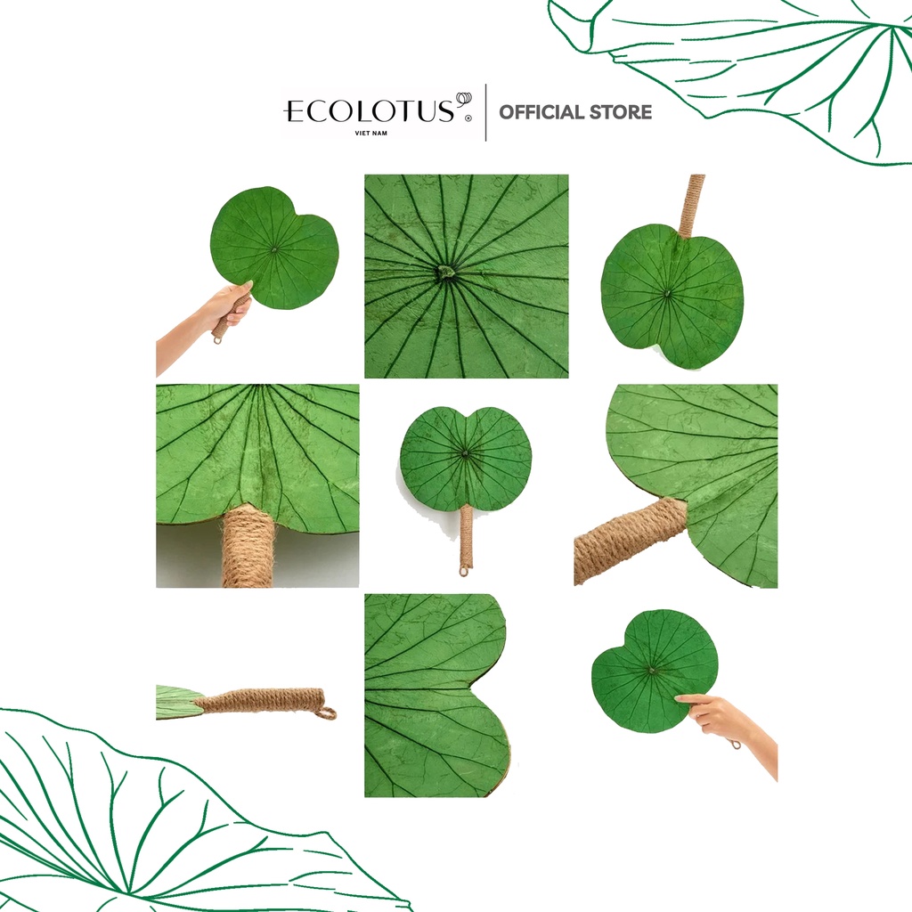 Quạt Cổ Trang, Quạt Cầm Tay Hình Chiếc Lá Sen ECOLOTUS, Ngang 30 X 25Cm