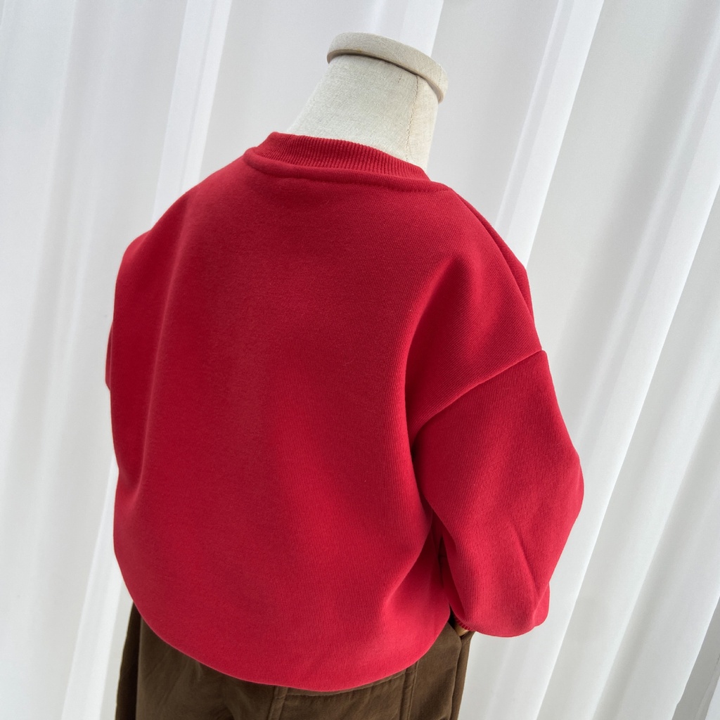 Áo Nỉ Lót Lông Cừu Thời Trang Thu Đông Cho Bé Trai