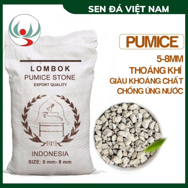 1Kg Đá Lông Vũ (Đá pumice, Đá Bọt, Nham Thạch Trắng) Indonesia, Giá Thể Trồng Sen Đá, Bonsai, Lọc Bể Cá