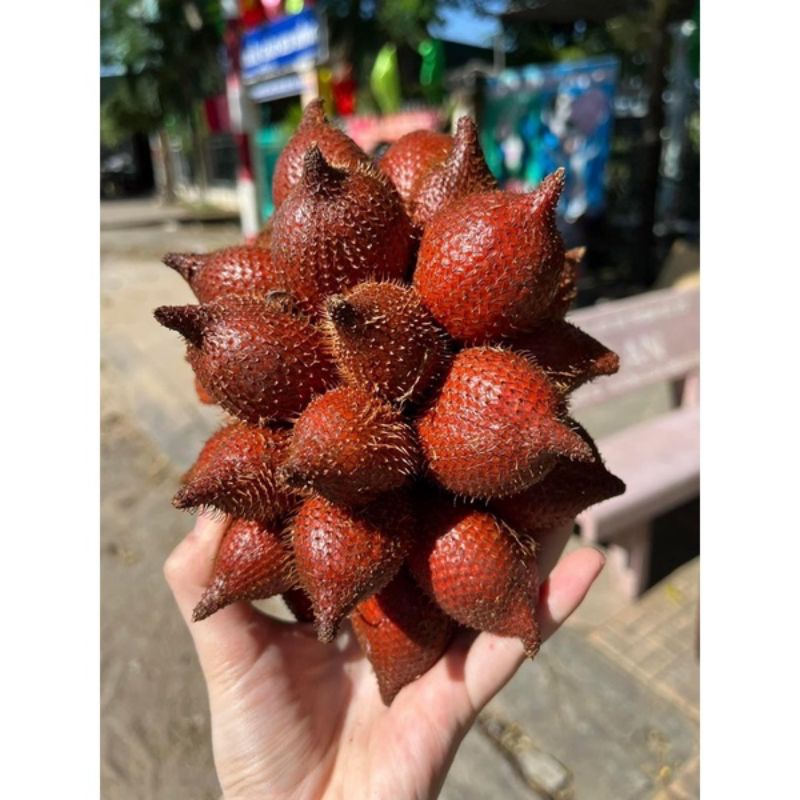 Trái mây thái 1kg đặc sản Thái Lan (hàng Nhập Khẩu)