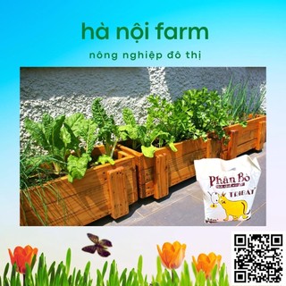 700gr phân bò xử lý hữu cơ