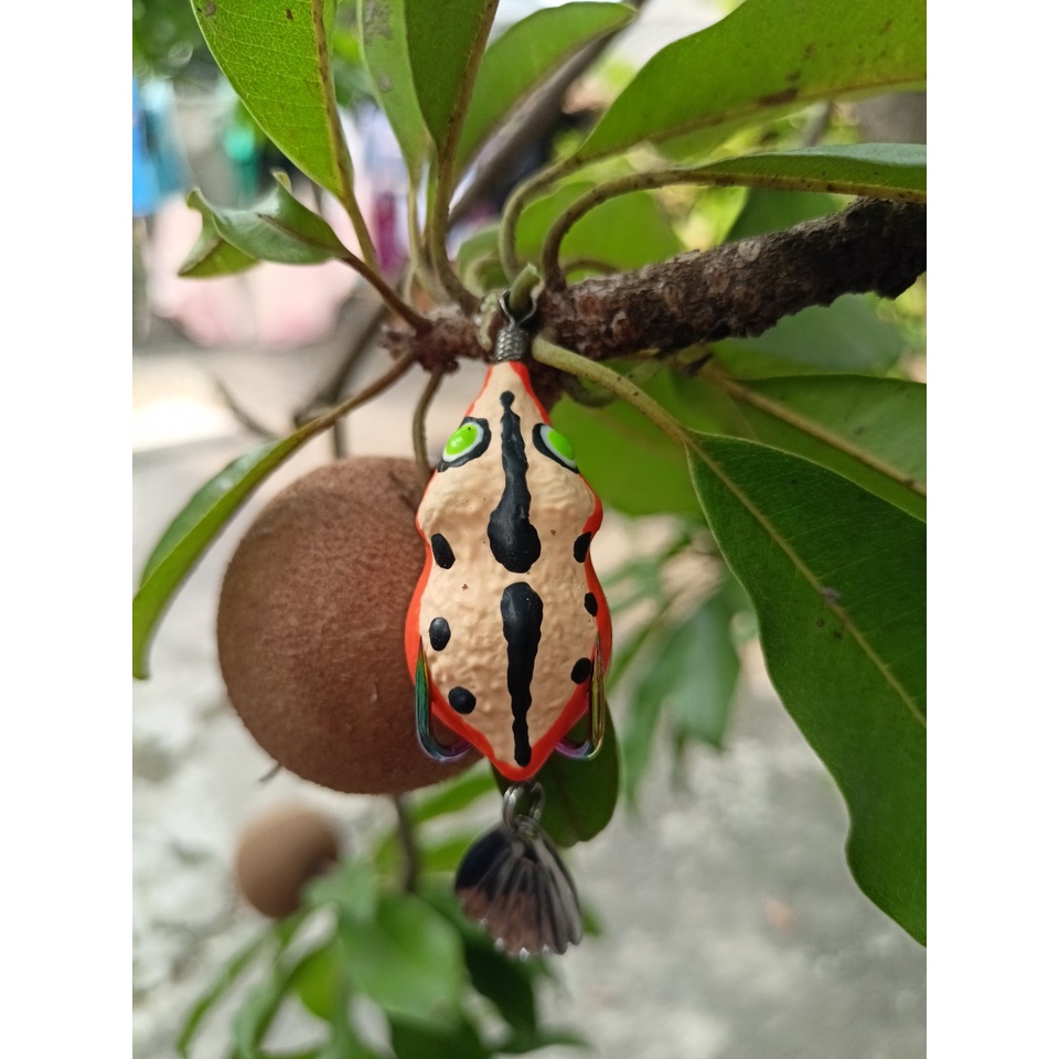 Nhái hơi Titan VQ 6