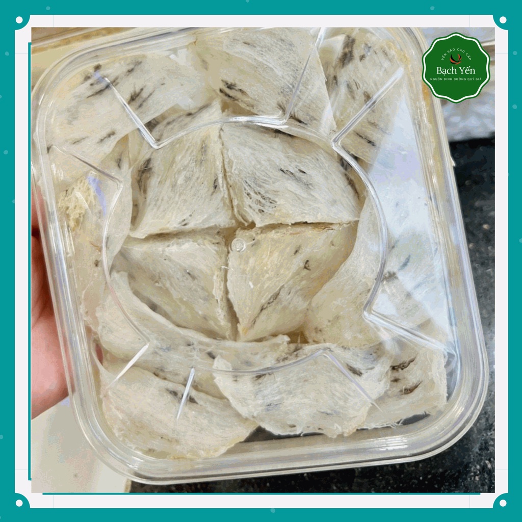 - Tổ yến thô (tổ góc) -Tặng nhíp