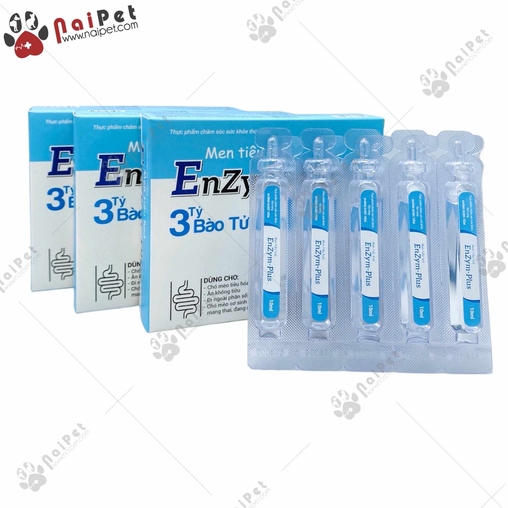 Men Tiêu Hóa Cho Chó Mèo EnZym-Plus
