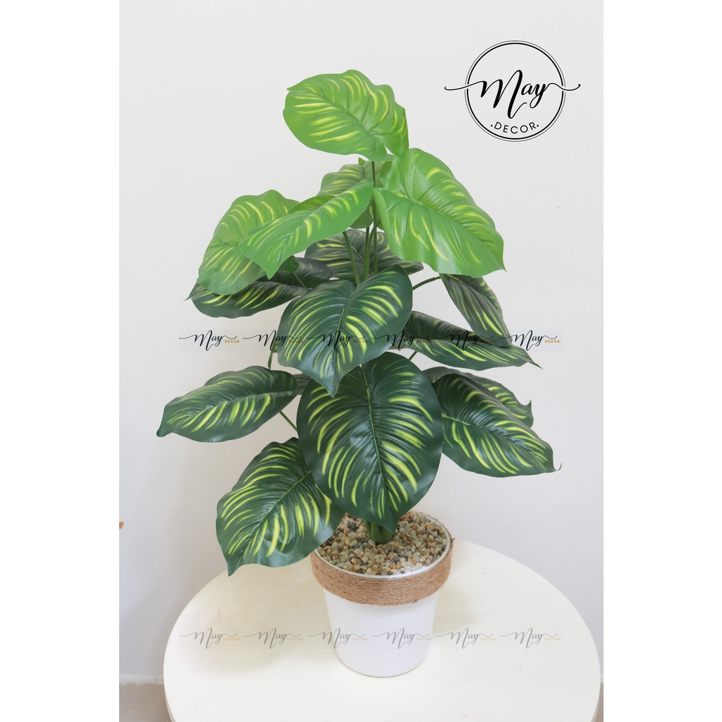 Cây giả, Chậu cây môn giả trang trí 80cm kèm chậu