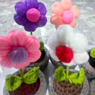 CHẬU HOA 6 CÁNH LEN HANDMADE