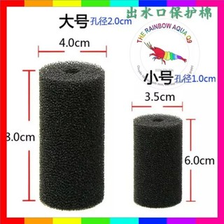 Lọc Xốp bịt đầu lọc cho hồ Tép, ngăn Tép hút vào lọc