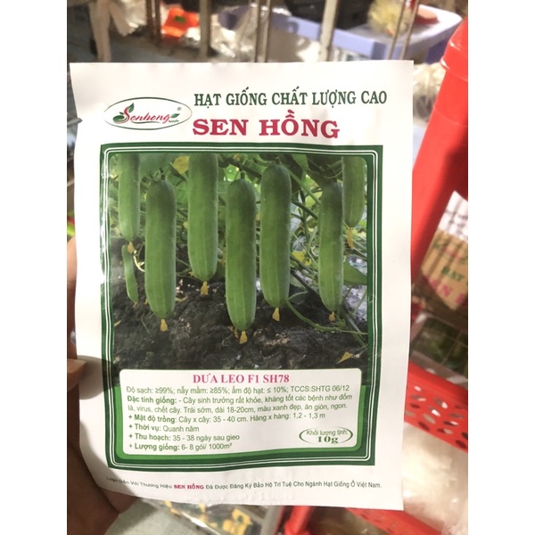 Hạt giống dưa leo sh78 sen hồng gói 10 gam 320 hạt.