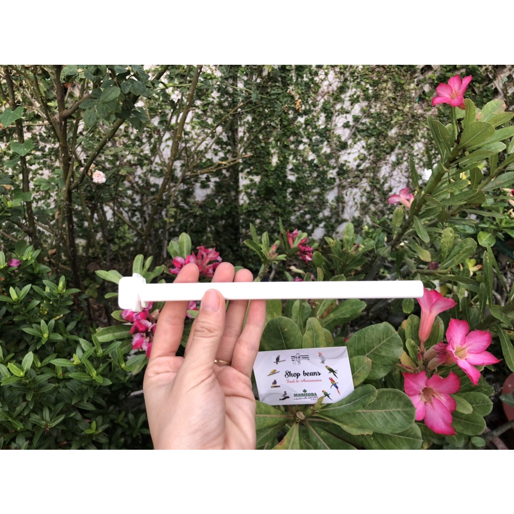 Cành đậu cho chim 18cm hàng ý ( cầu đứng )