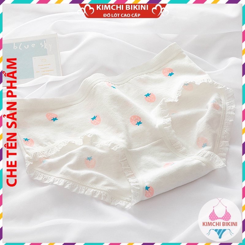 Quần sịp nữ cotton cạp thấp chống viêm KIMCHIBIKINI quần  silit nữ cao cấp in hình dễ Thương QL038