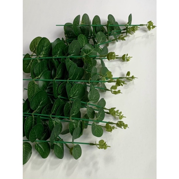 100g lá táo hàng đẹp chuẩn như hình
