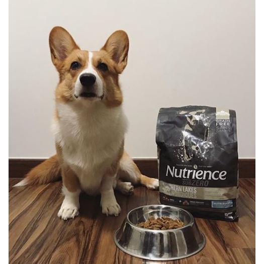 Thức Ăn Hạt Cho Chó Corgi - Da Lông Bóng Mượt Nutrience Subzero Bao 500g - Thịt Gà, Cá Hồi Rau Củ, Trái Cây