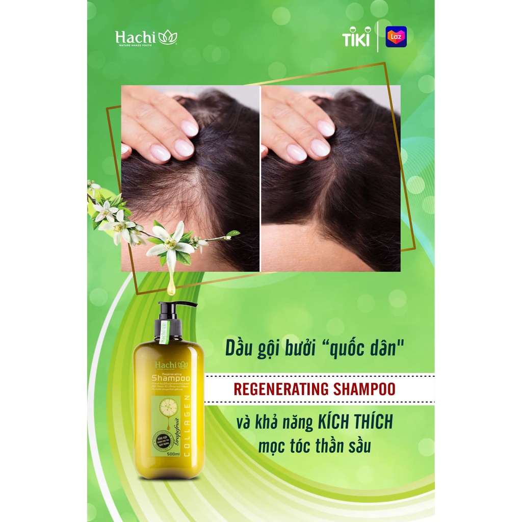 DẦU GỘI HACHI BƯỞI BƠ DÀNH CHO TÓC RỤNG