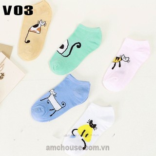Combo 10 đôi tất, vớ thun cotton nhiều mẫu