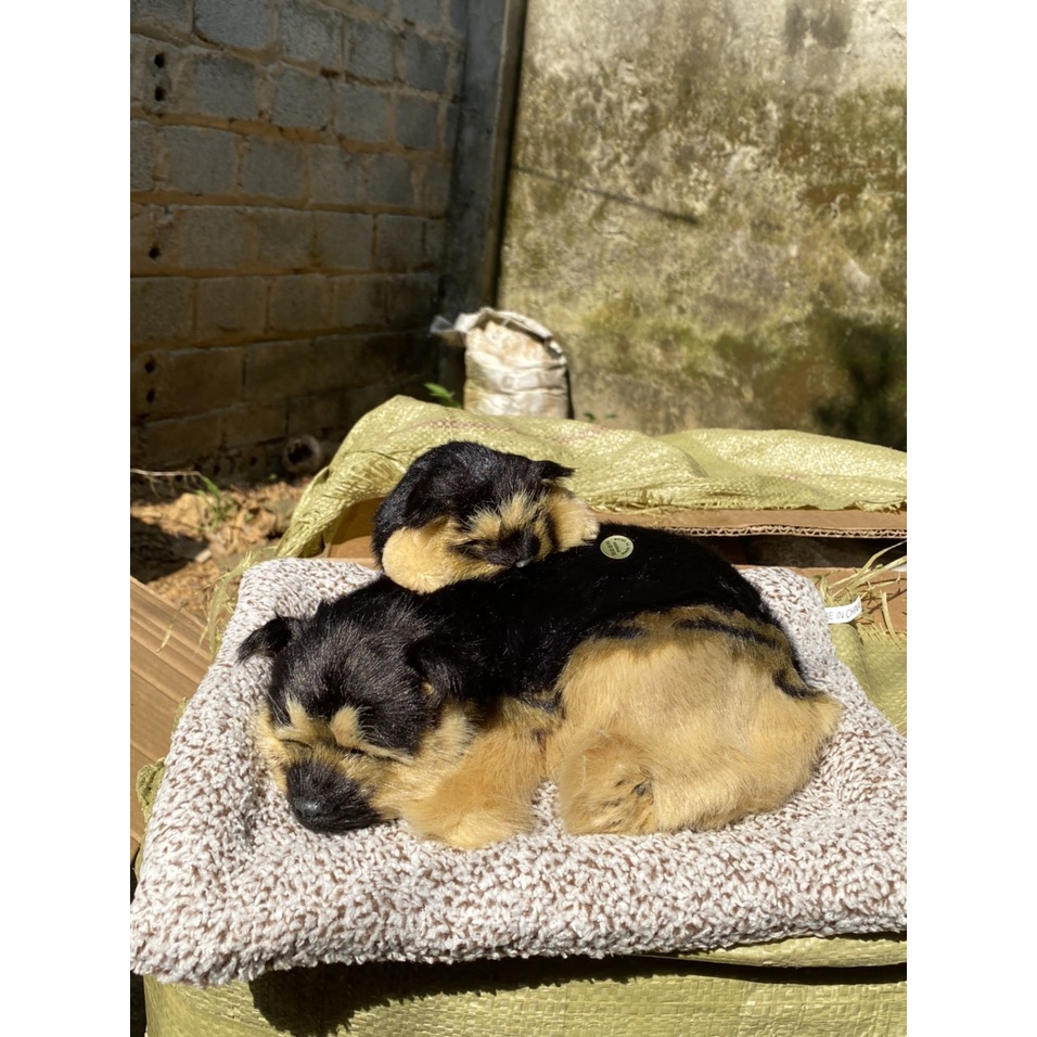 Mẹ Con Thú bông GIỐNG THẬT 99% chó mèo sói gấu lõi than hoạt tính lọc không khí khử mùi trang trí xe hơi