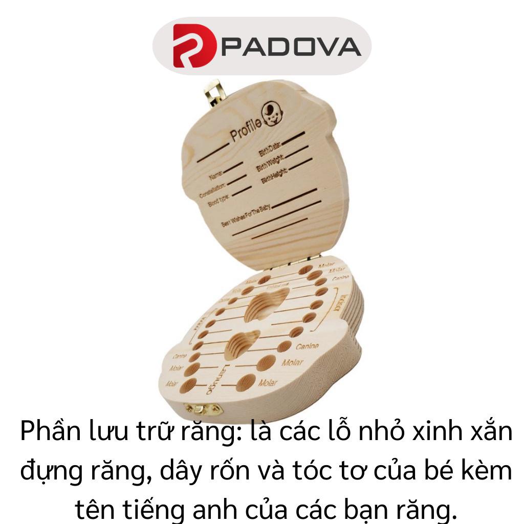 Hộp Đựng Răng Sữa Cho Bé Lưu Giữ Kỷ Niệm Đáng Nhớ Cho Trẻ PADOVA 4114