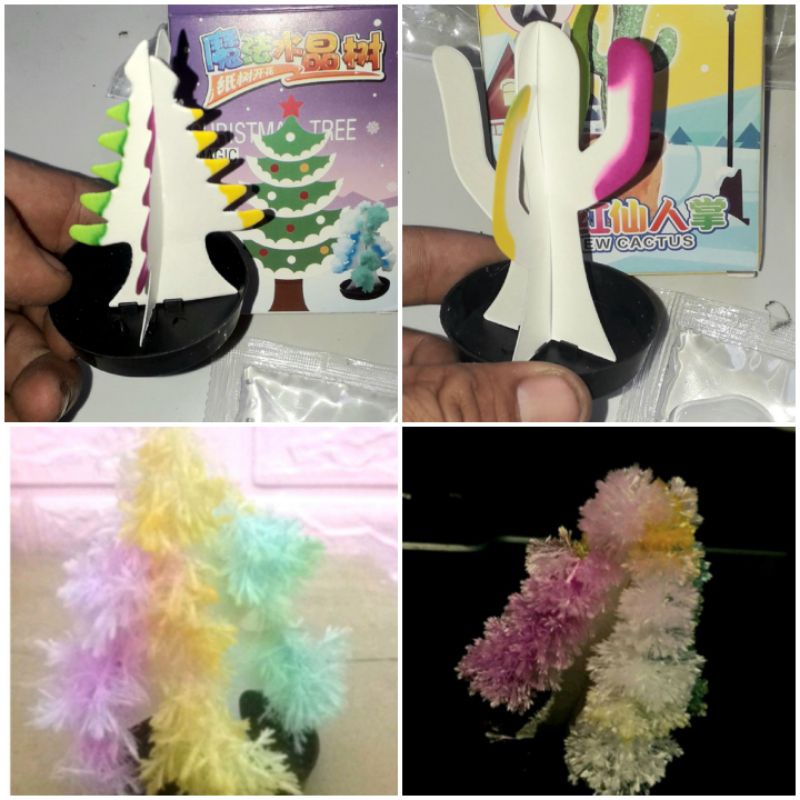 Trò chơi Tuổi thơ_Trò chơi khoa học _Một bộ cây thông NoEl hoặc Xương Rồng bằng giấy nở hoa