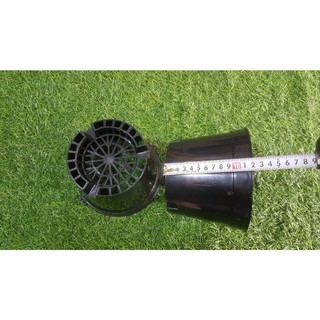 Combo 5 chậu đen trồng lan phi 16cm bít lỗ.