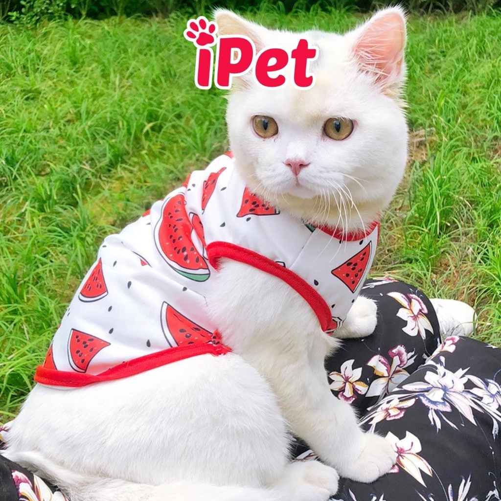 Áo thun ba lỗ trái cây dễ thương thoáng mát cho thú cưng chó mèo - iPet Shop