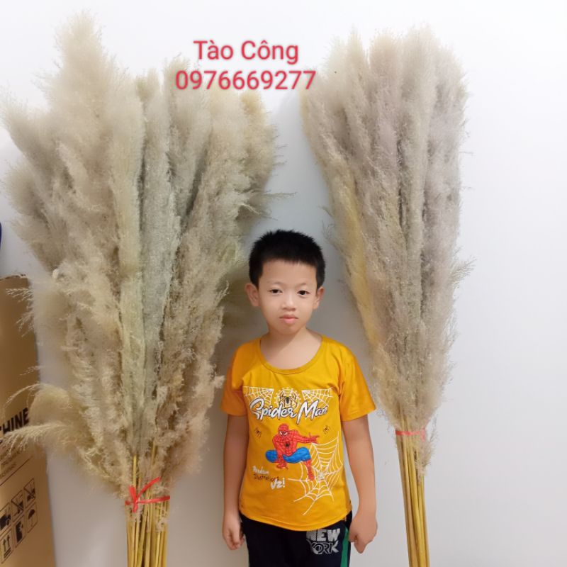 Combo 10 Bông Lau xù zie to decor trang trí