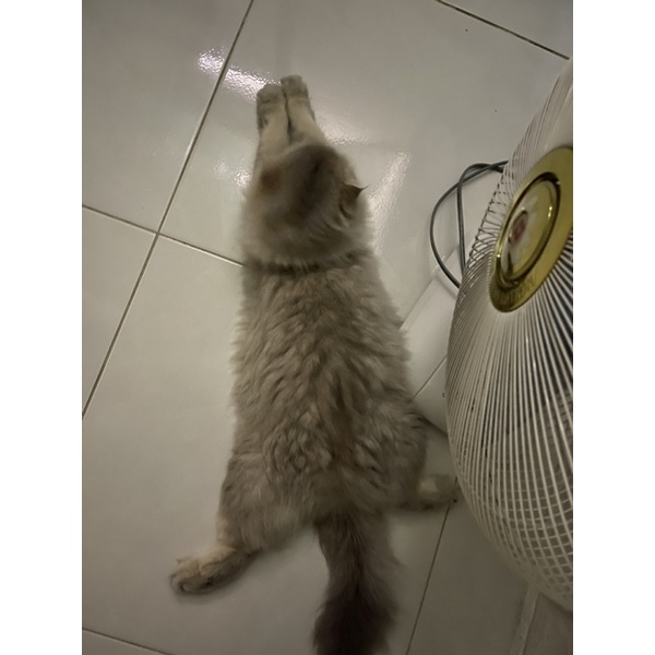 Bình nước từ Nhật sắc màu cho trẻ em..