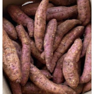 🥔 KHOAI LANG MẬT TÀ NUNG - 1 KG