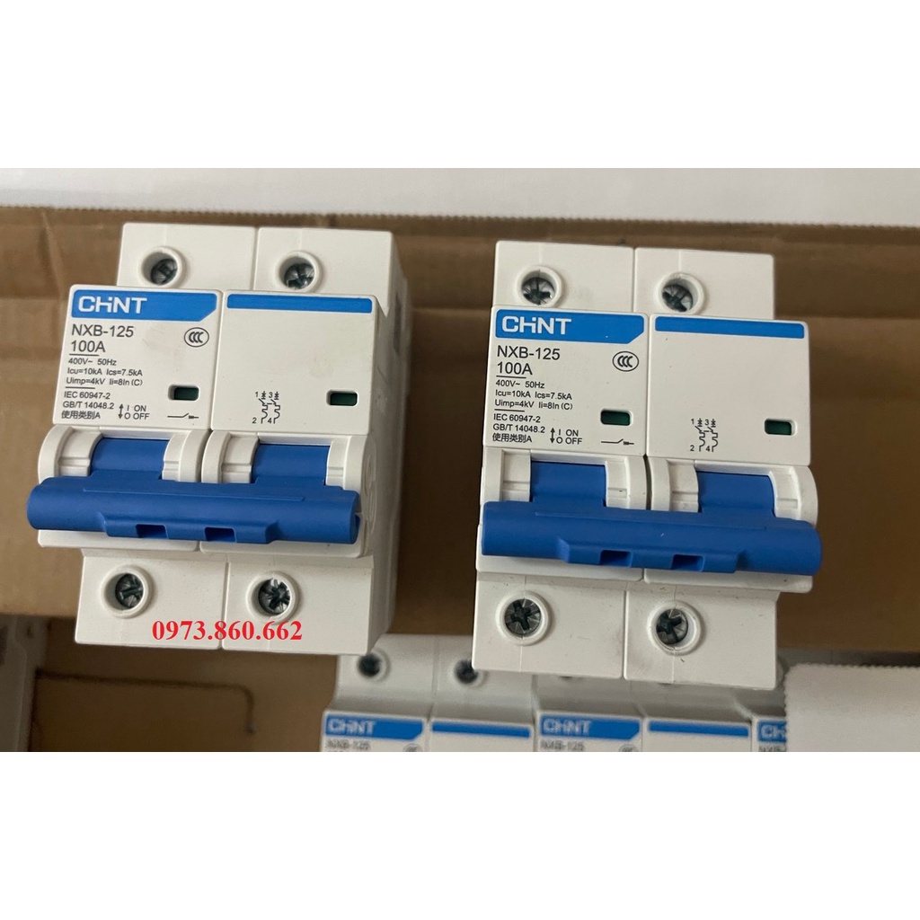 Aptomat Cài MCB 2P 3P 4P 100A CHINT NXB-125 10KA