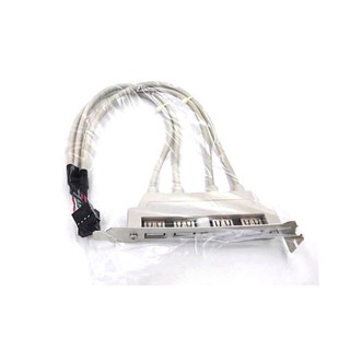 Dây USB 2.0 gắn sau mainboard 4 cổng (màu trắng) dài 30cm