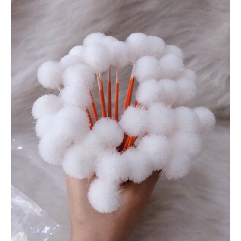 Bông Ngoáy Tai - cây bông ráy tai- bông ngoáy tai