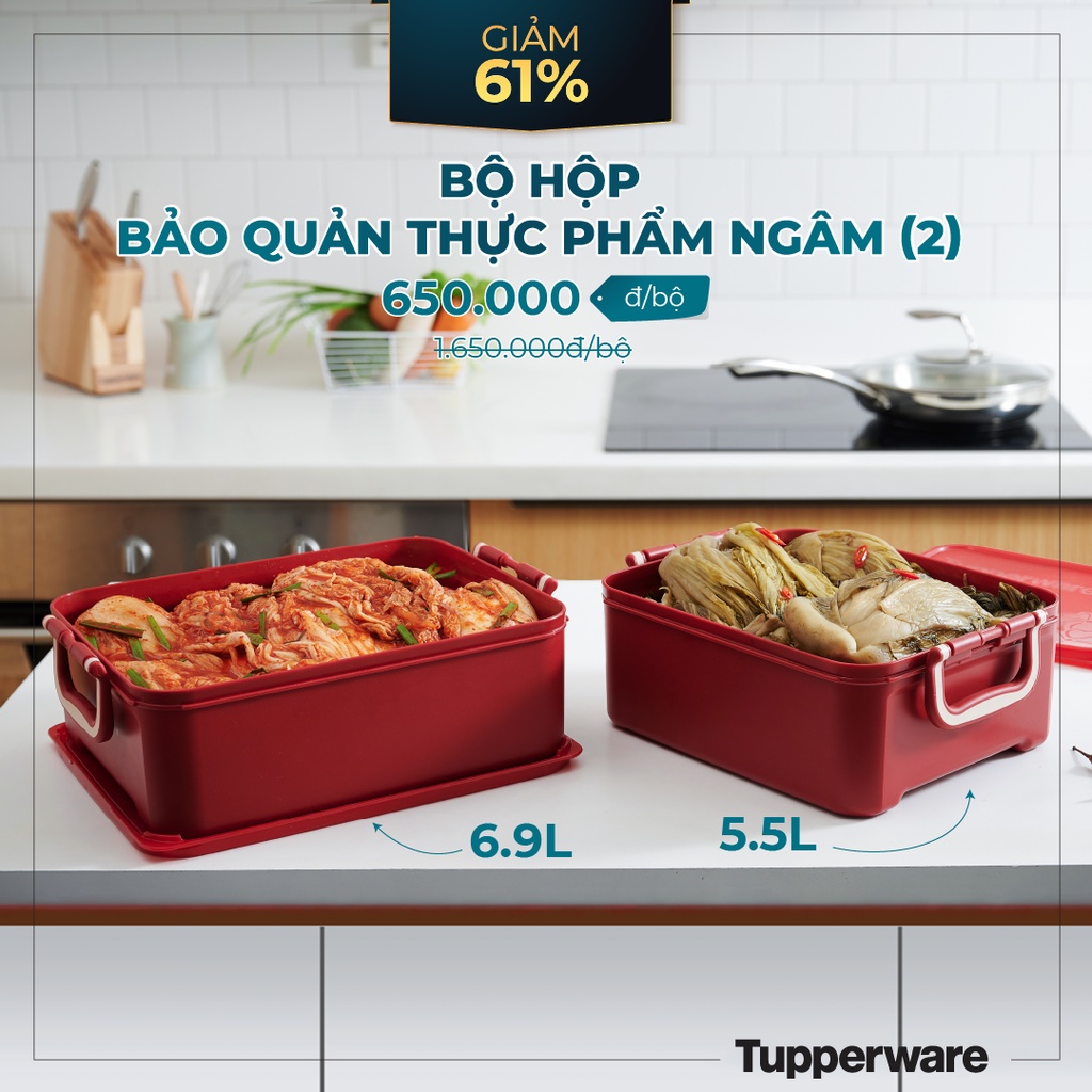 Bộ hộp Bảo Quản Thực Phẩm Ngâm Tupperware (2) - Màu Đỏ