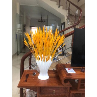 Bông Lúa Mạch Trang Trí (Bó 100 Bông)