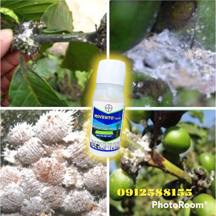 Movento (100ml) - Bảo vệ hoa hồng và các loại cây trồng, rau xanh