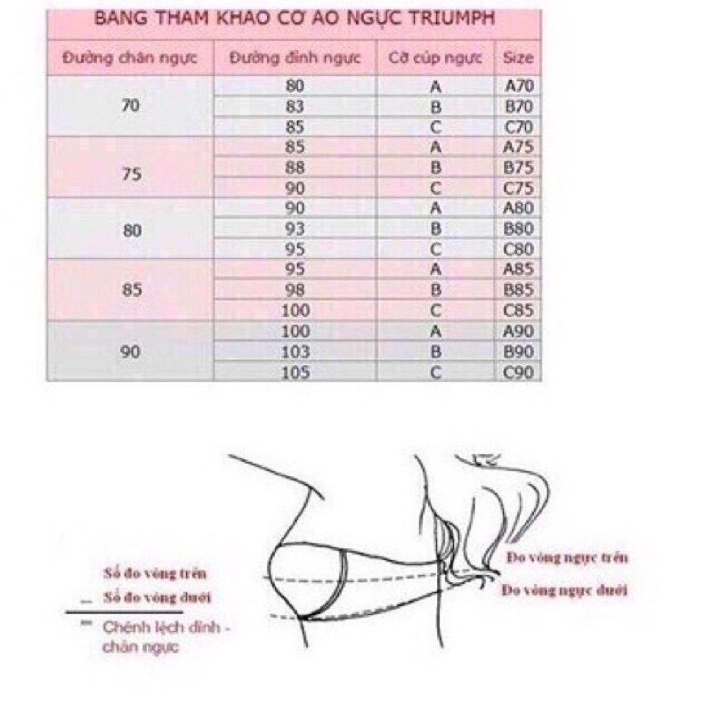 Áo lót nữ Marguerite 33147