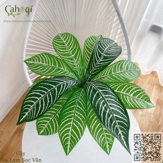 Cây Giả - Cây Hoàng Hậu Lá Xanh Cây Dạm Lam Đốm