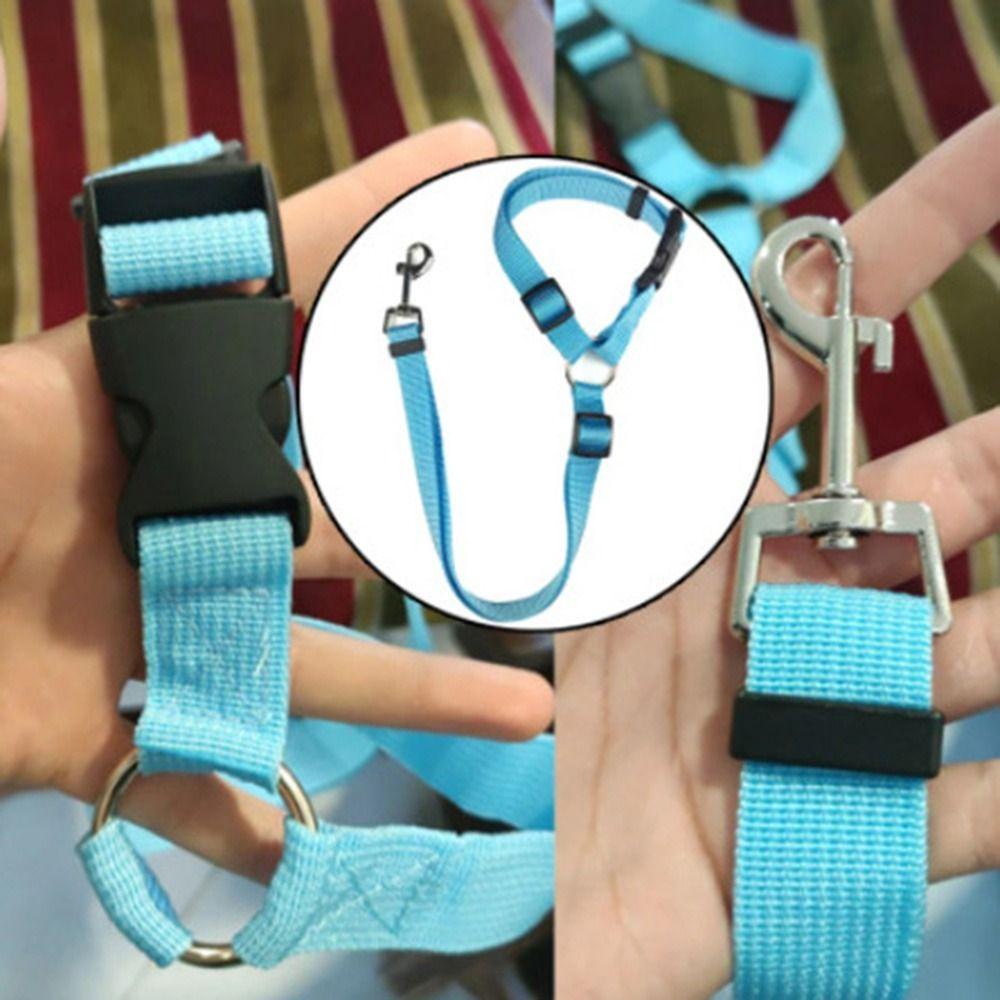 [COD] Dây ThắT Lưng An ToàN Cho Thú Cưng