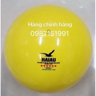 Bóng Chuyền hơi Hải Âu 6sao(200g-250g)